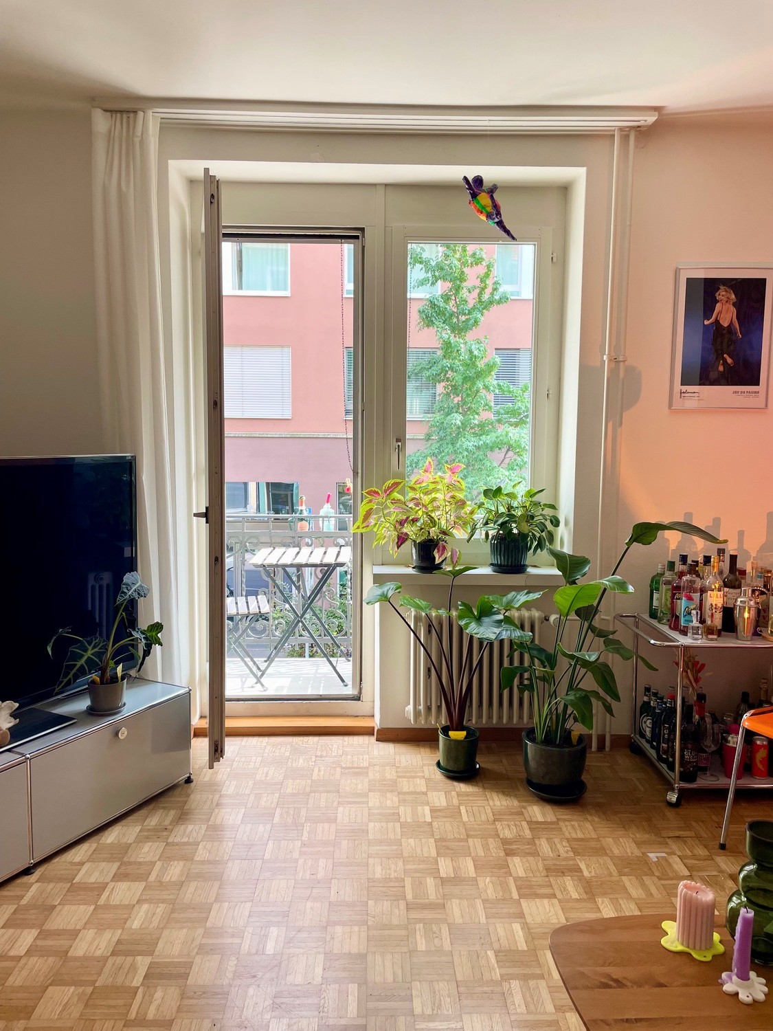 Room in a shared flat