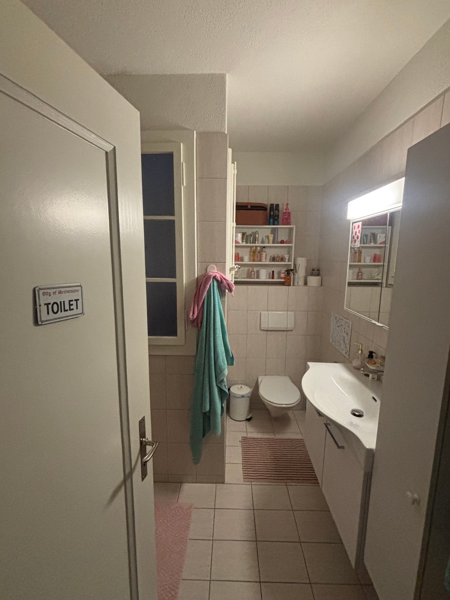 Room in a shared flat