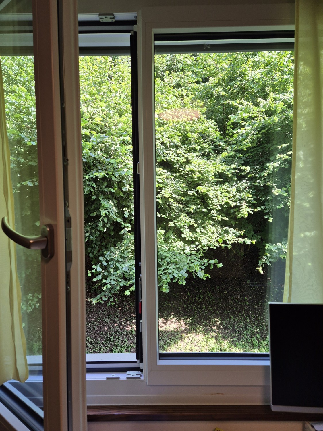 Room in a shared flat, foto 2 di 10