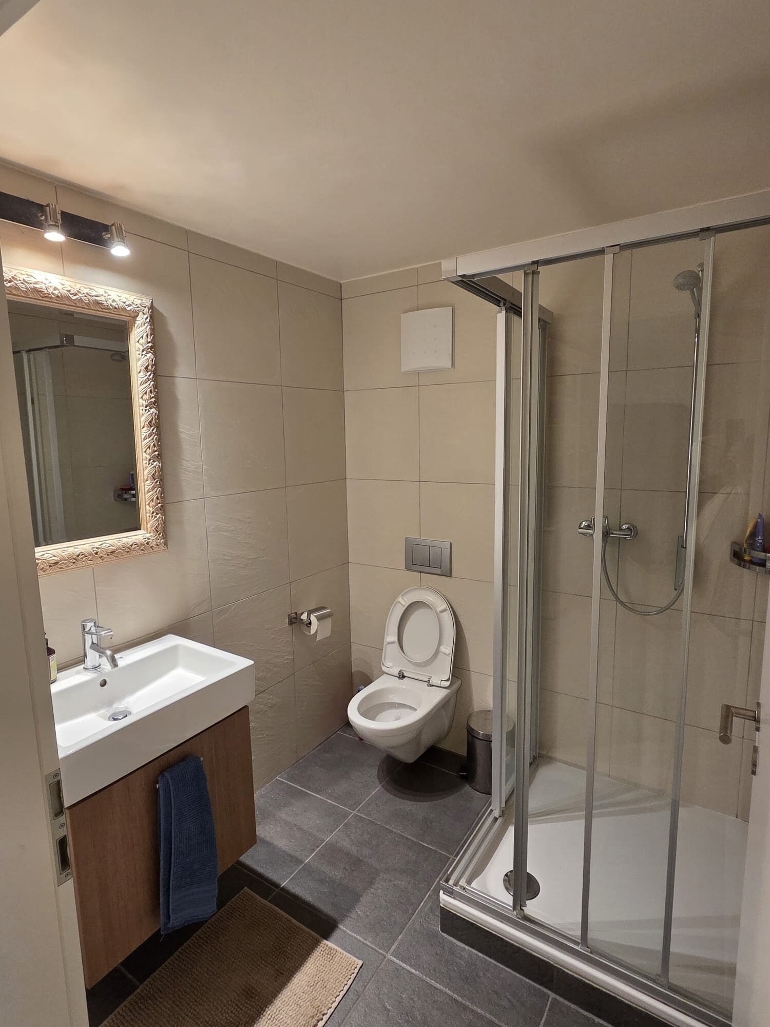 4 ½ Zimmer Wohnung