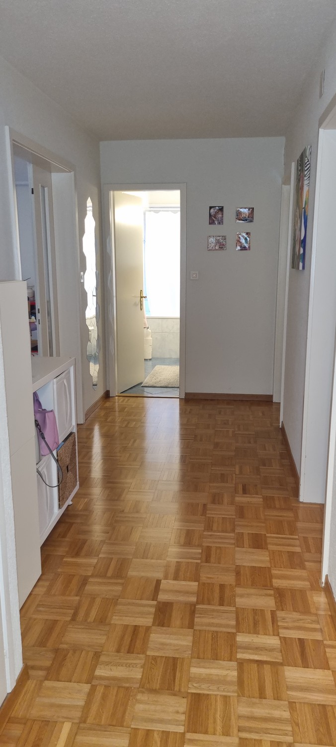 Room in a shared flat