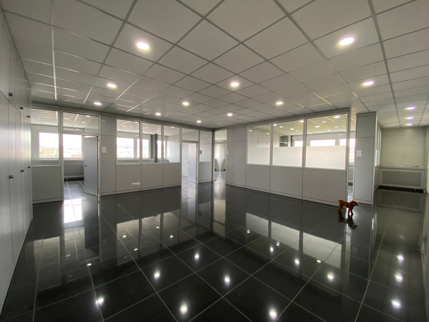 713m² commerciale