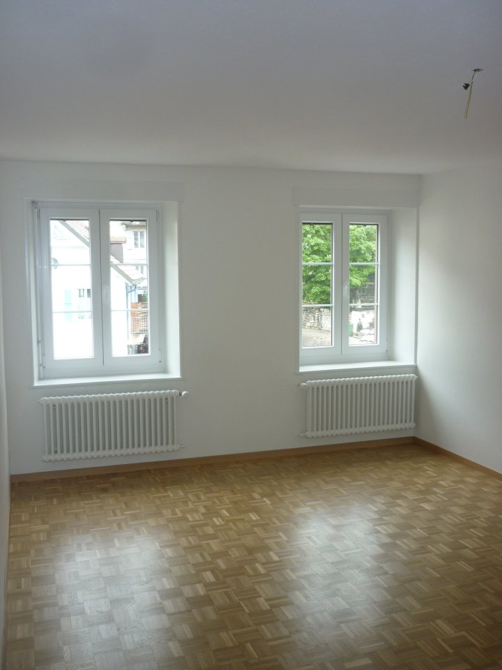 4 ½ Zimmer-Wohnung