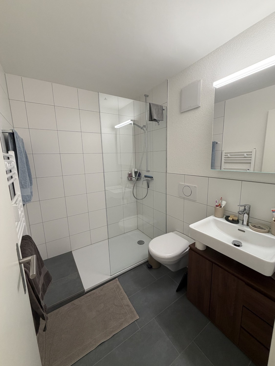 2 ½ rooms apartment