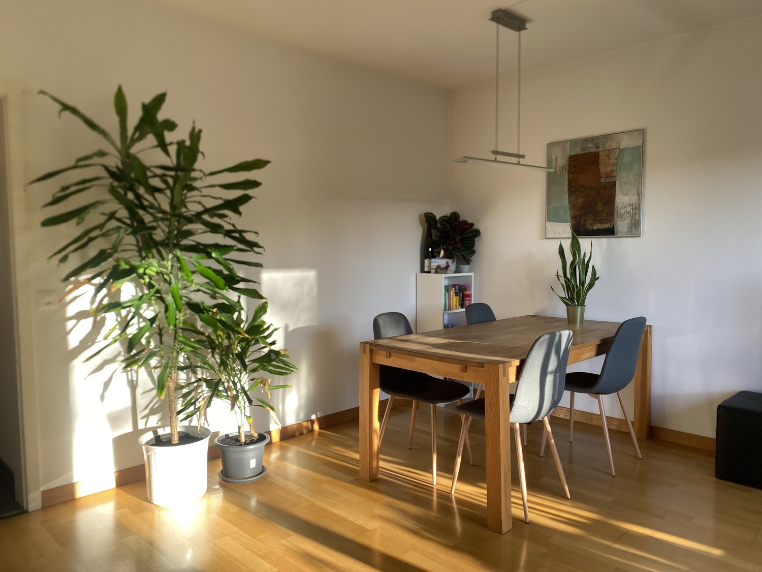 2 rooms apartment