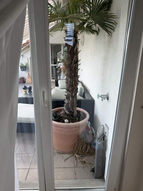 Room in a shared flat, Foto 5 von 7