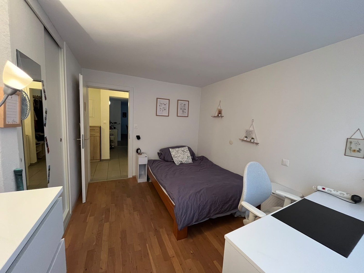 Room in a shared flat