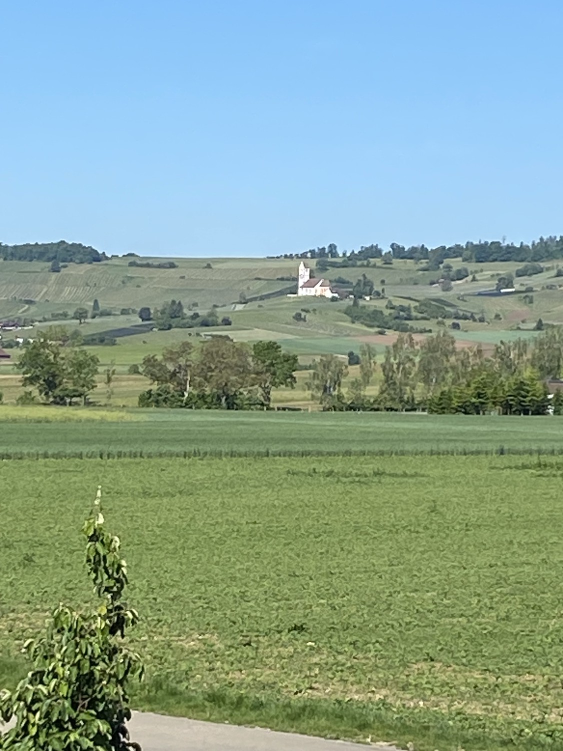 Stanza in un appartamento condiviso, foto 4 di 4