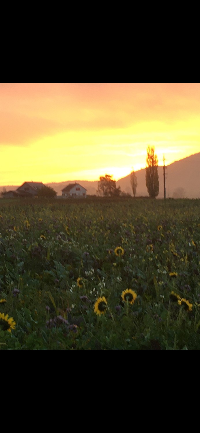 Stanza in un appartamento condiviso, foto 3 di 4
