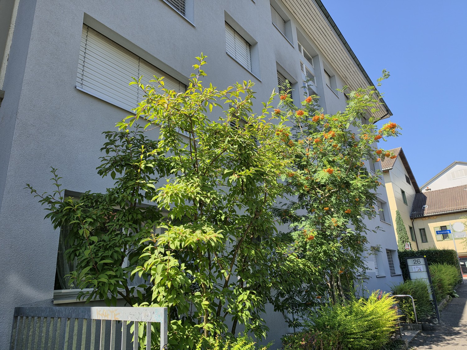 4 ½ rooms apartment, Foto 1 von 10