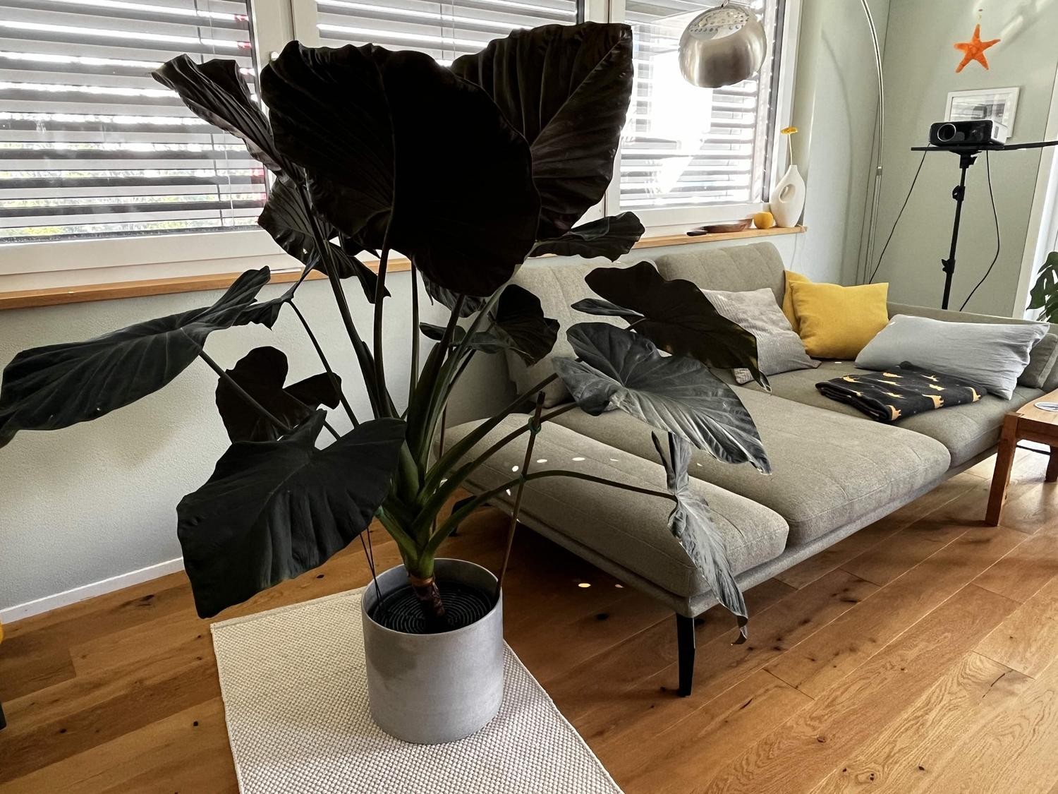 4 ½ rooms single house
