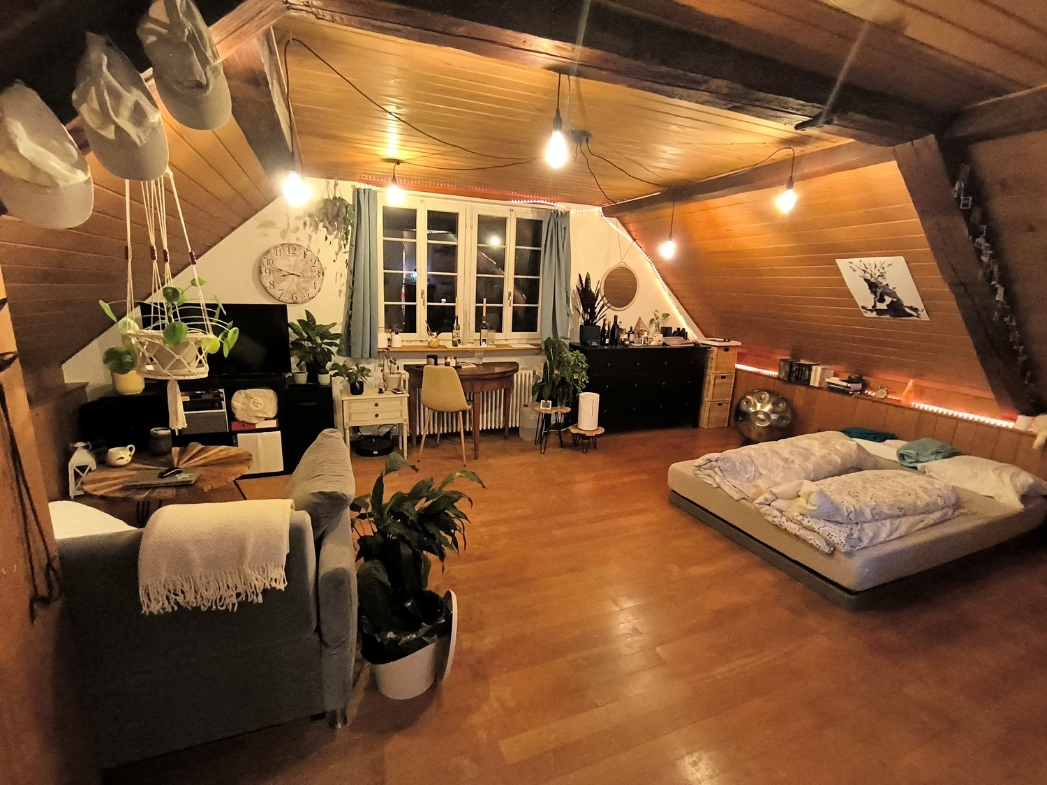 Room in a shared flat