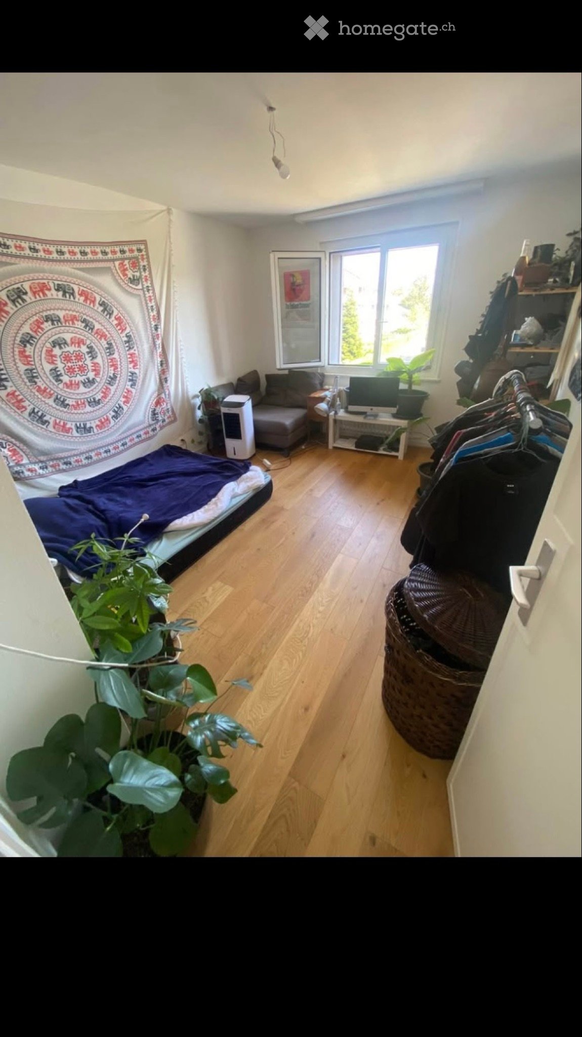 1 Zimmer Einzelzimmer