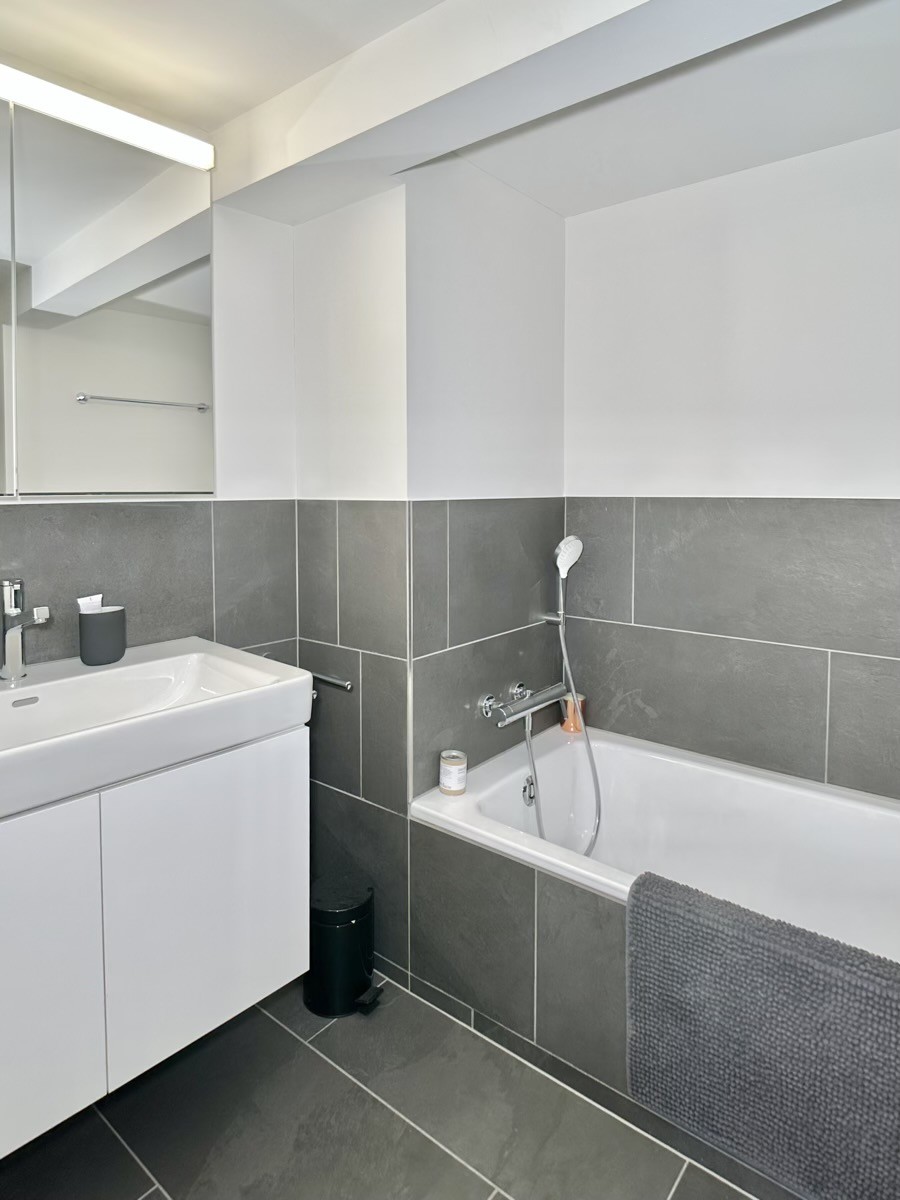 3 ½ Zimmer-Wohnung