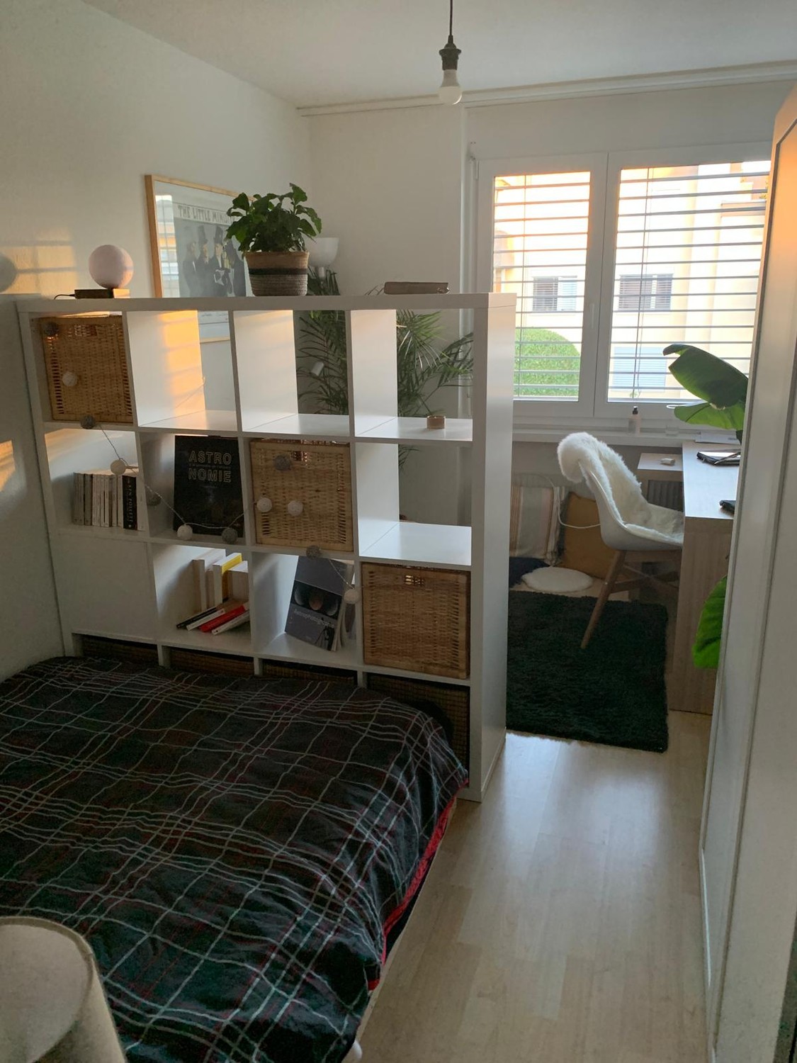 Chambre en colocation, photo 2 sur 6