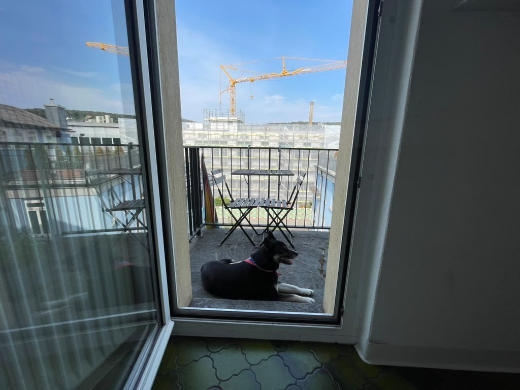 Zimmer in einer WG, Foto 8 von 10