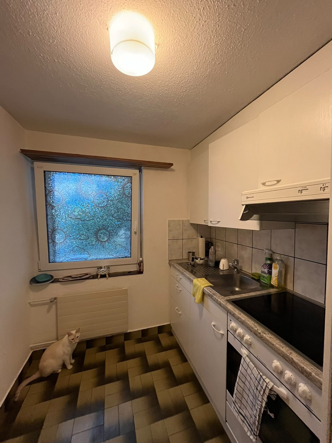 2 ½ rooms apartment
