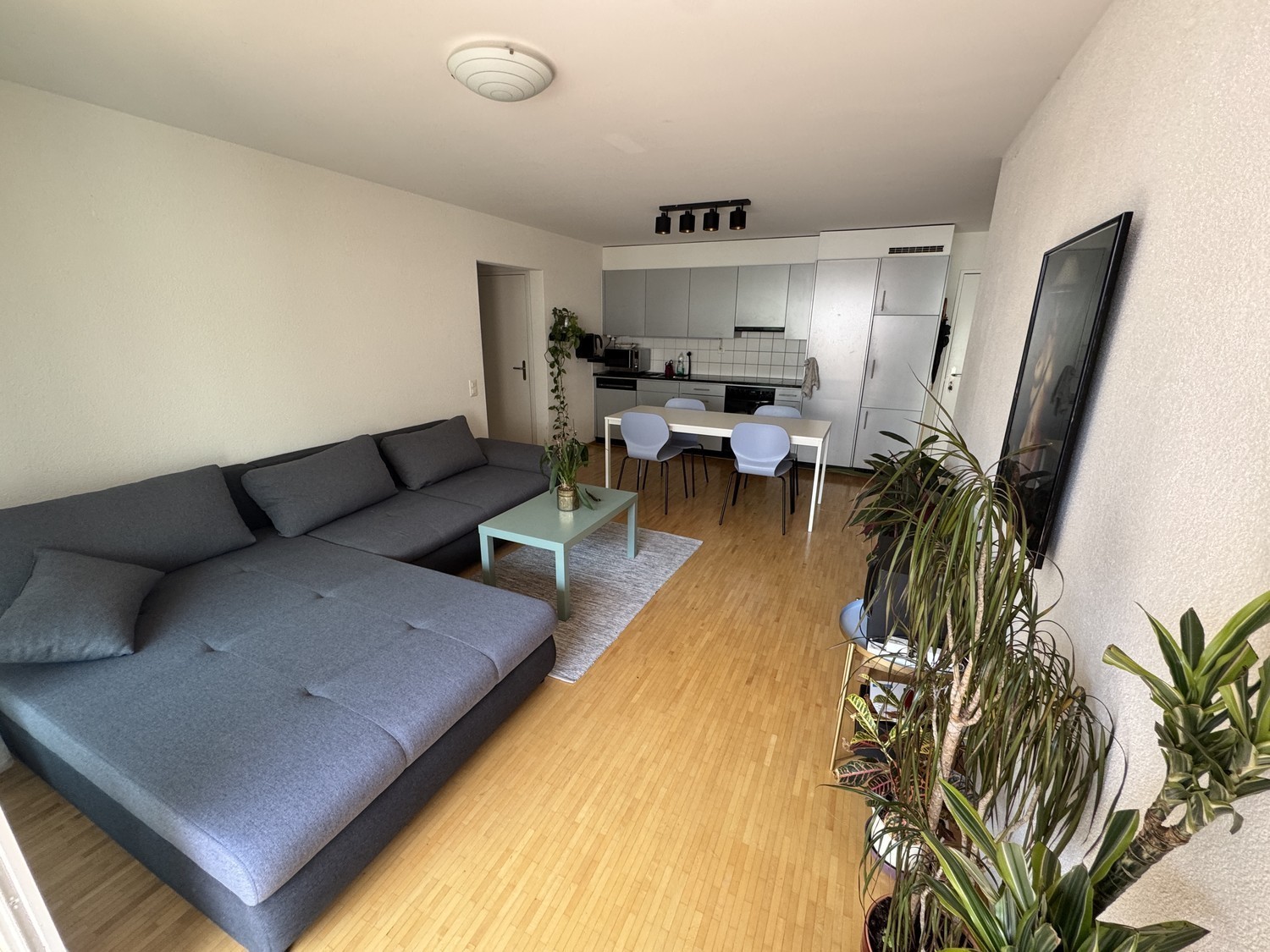 Zimmer in einer WG, Foto 5 von 8