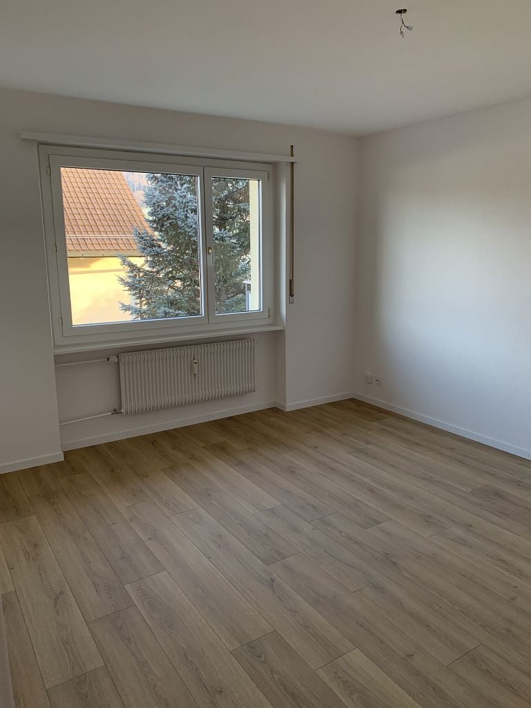 appartement 1 pièce