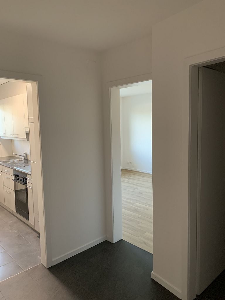 appartement 1 pièce