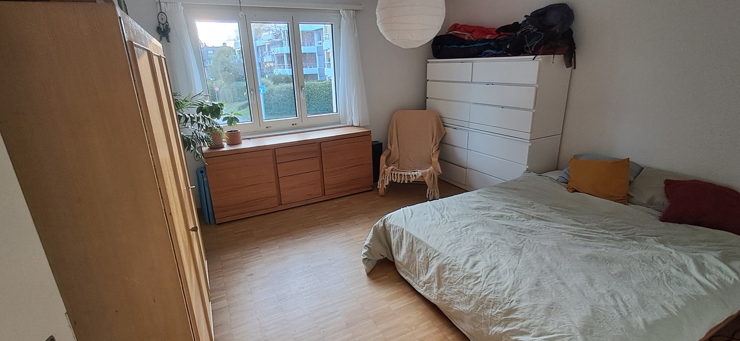 Room in a shared flat