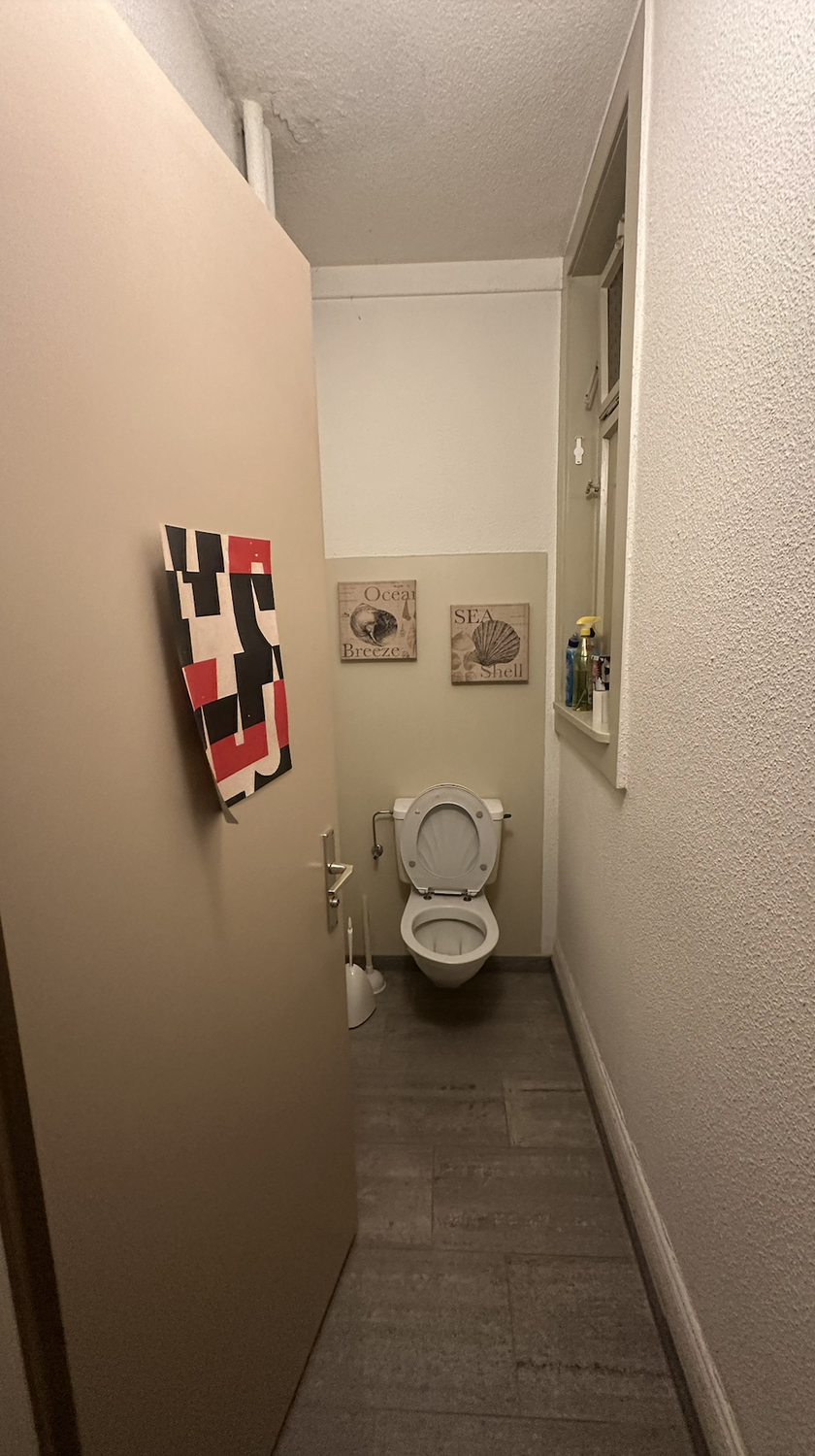 Room in a shared flat