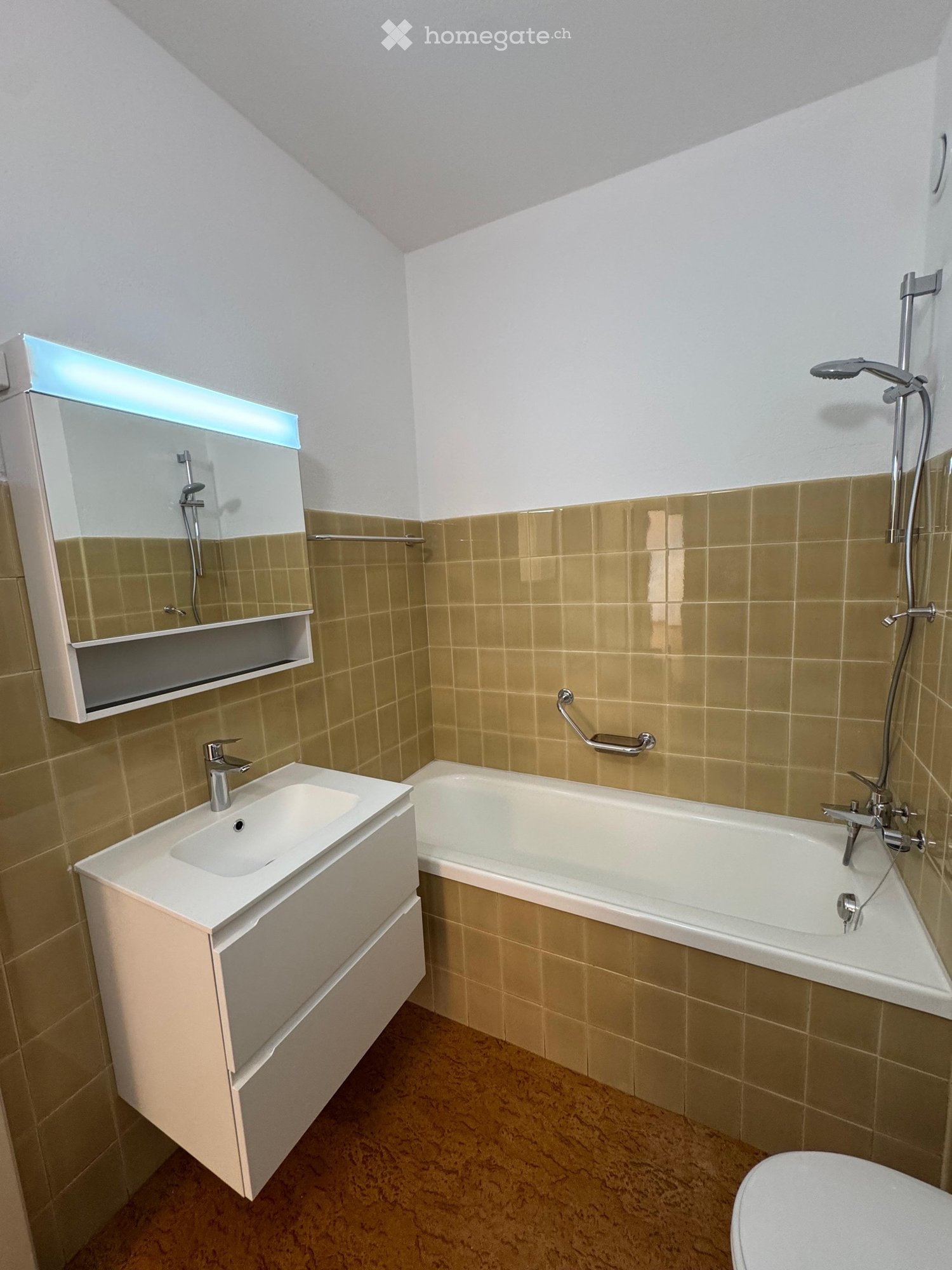 2 ½ Zimmer-Wohnung
