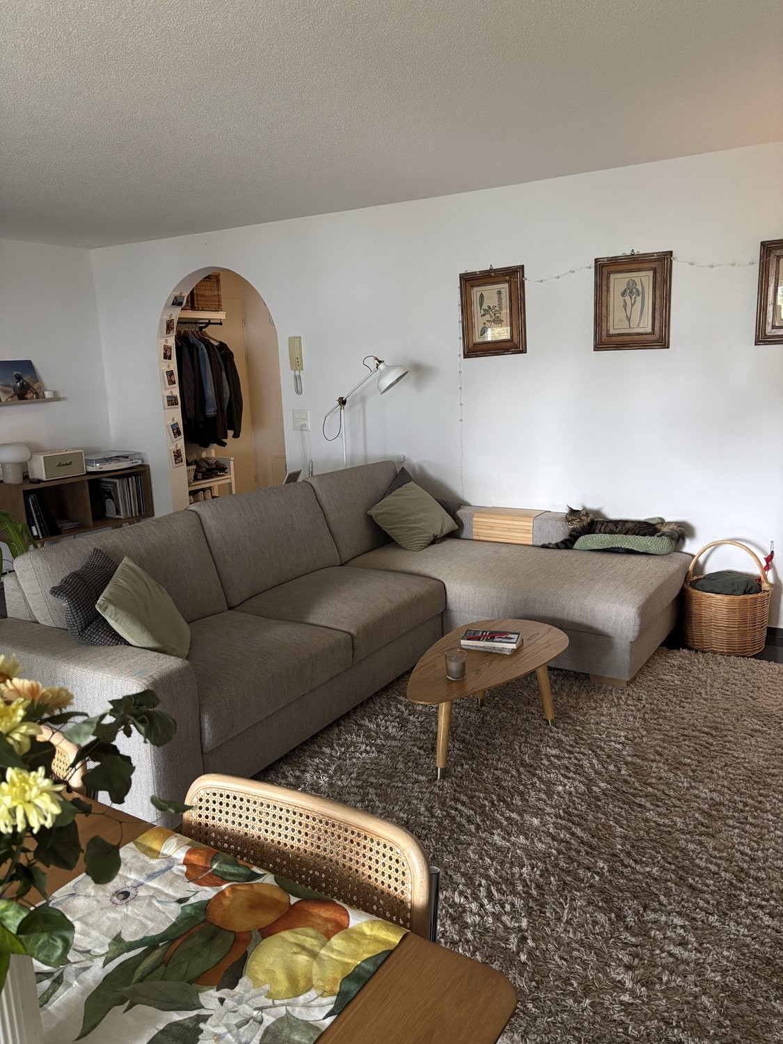 3 ½ rooms furnished flat, Foto 1 von 8