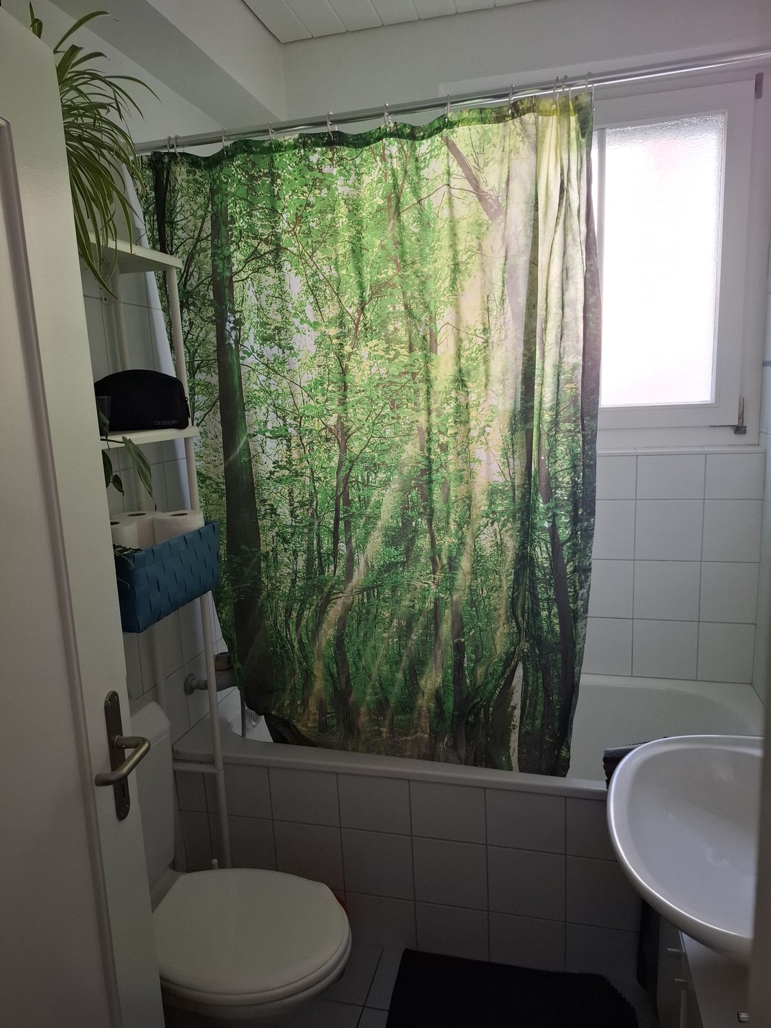 2 ½ rooms apartment, Foto 4 von 7