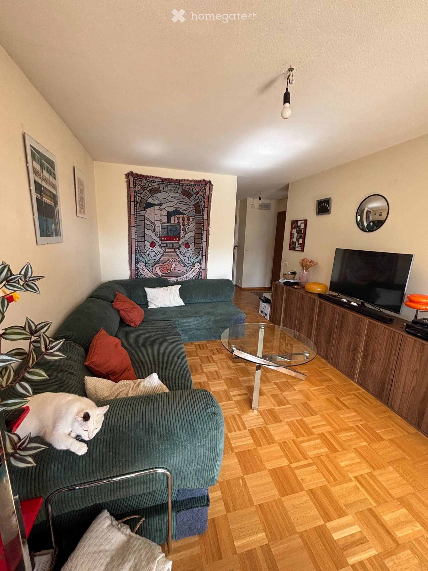 Appartamento di 2 ½ locali