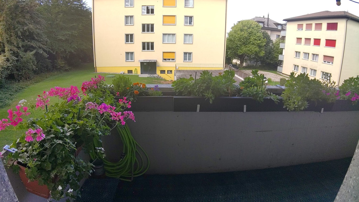 1 room apartment, Foto 4 von 5
