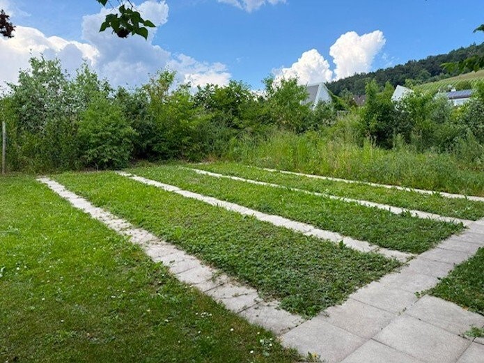 Alottment garden