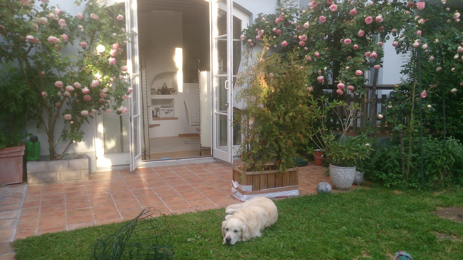 2 ½ Zimmer Wohnung, Foto 4 von 6