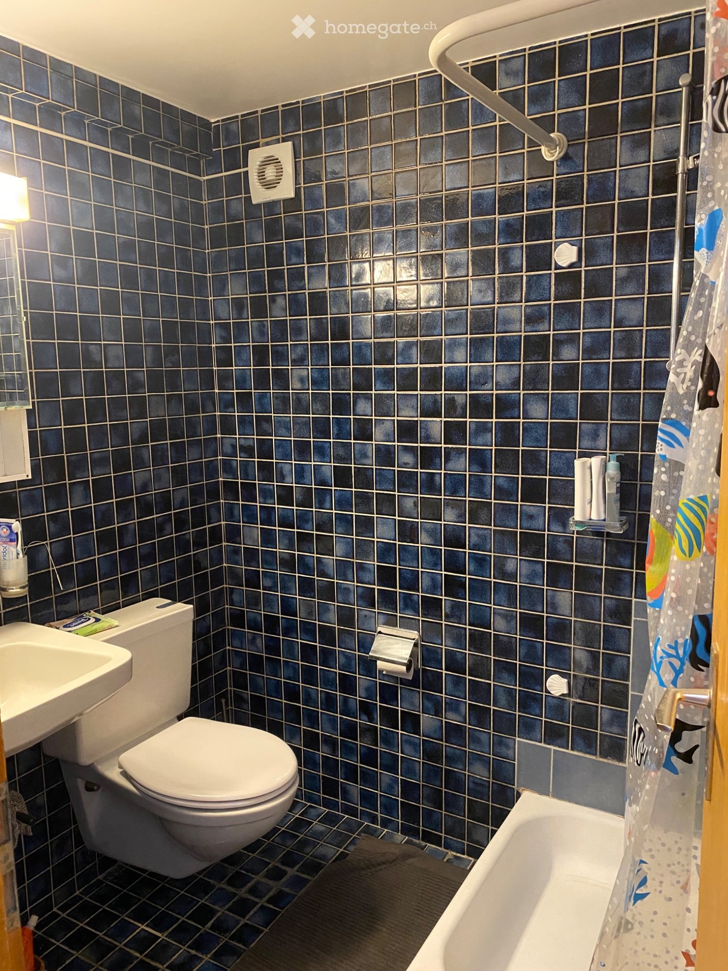 1 ½ Zimmer Wohnung