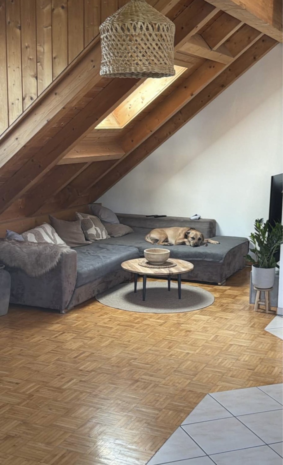 2 ½ rooms apartment, Foto 4 von 10