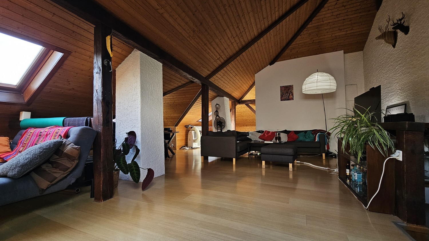 Room in a shared flat