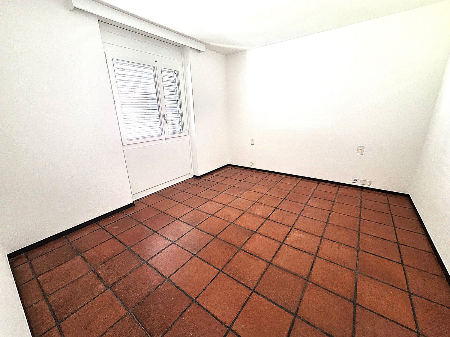 4 ½ rooms apartment (5)