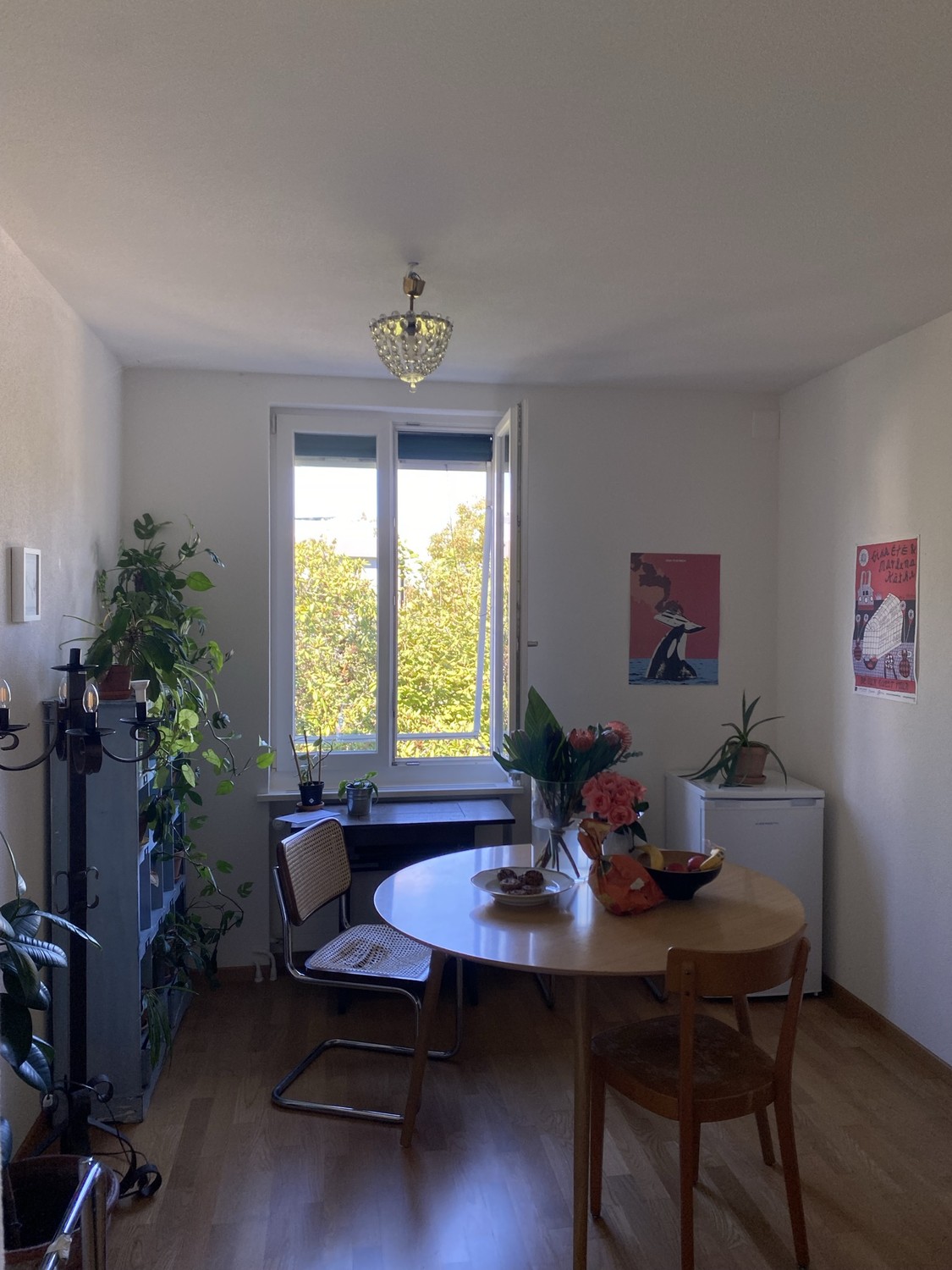 Zimmer in einer WG, Foto 5 von 9