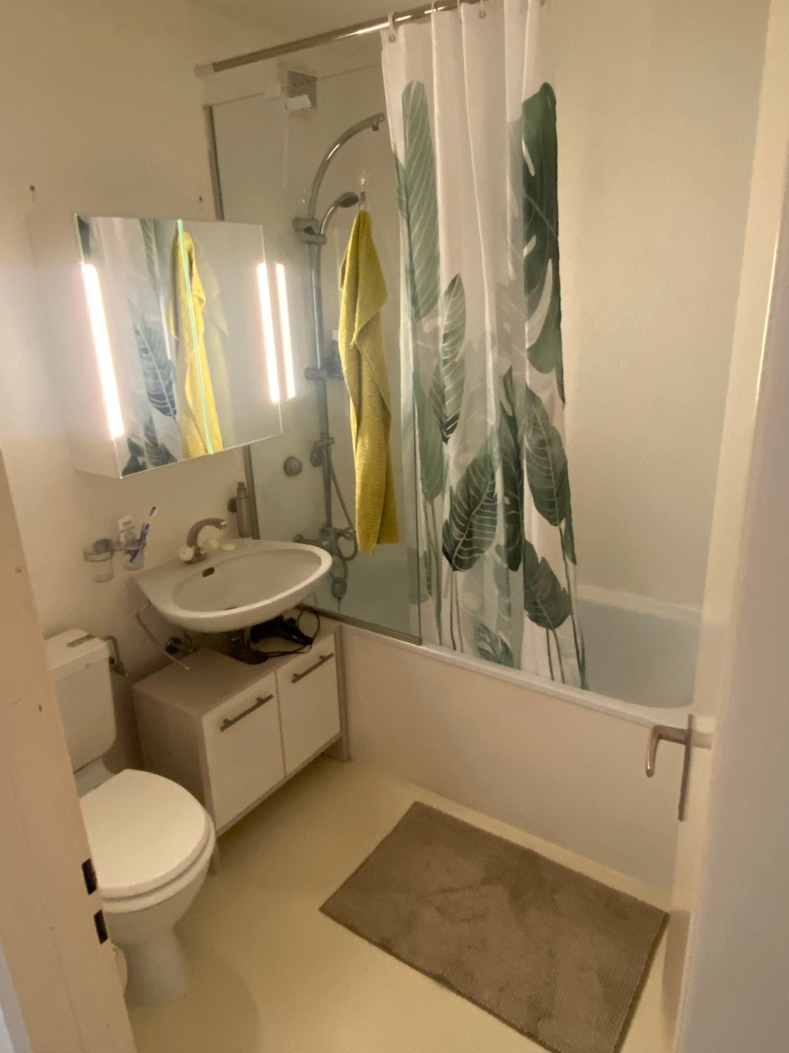 3 ½ rooms furnished flat