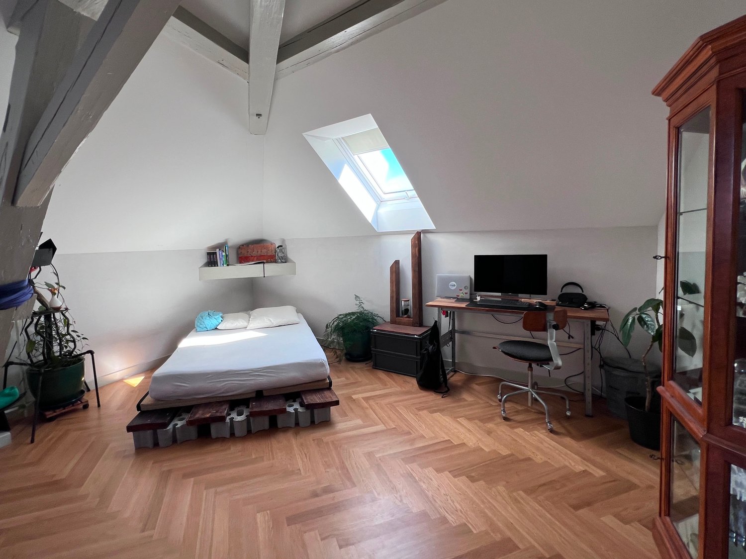 Chambre dans une colocation