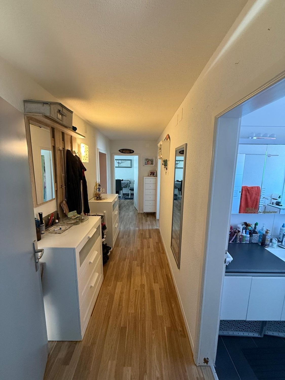 Appartement de 3 ½ pièces