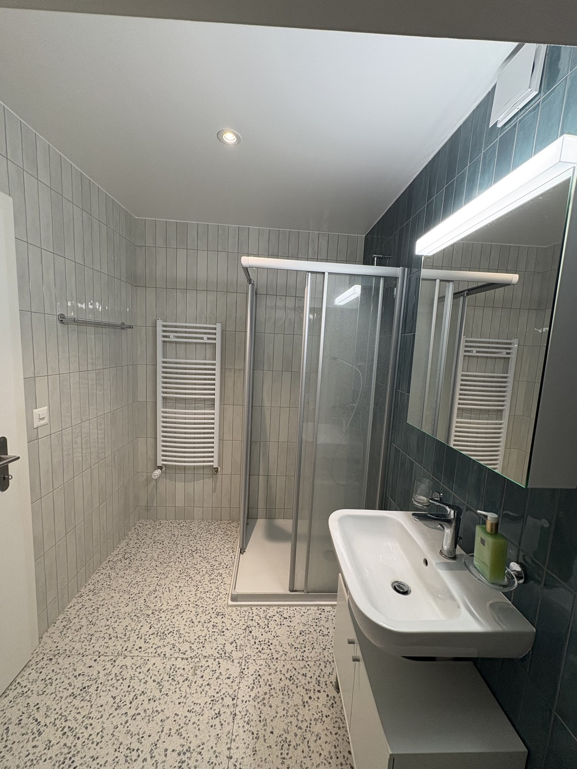 2 ½ Zimmer Wohnung