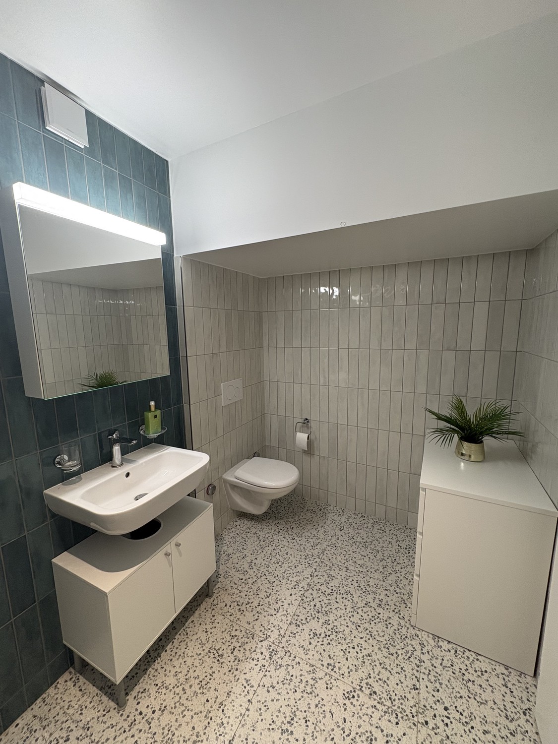 2 ½ Zimmer Wohnung