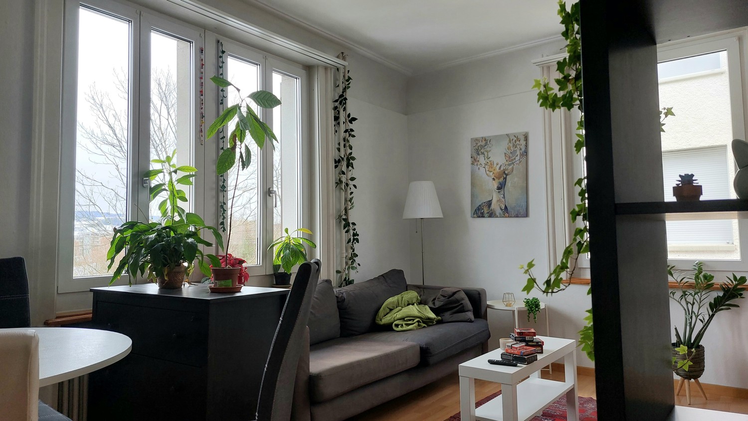 Room in a shared flat
