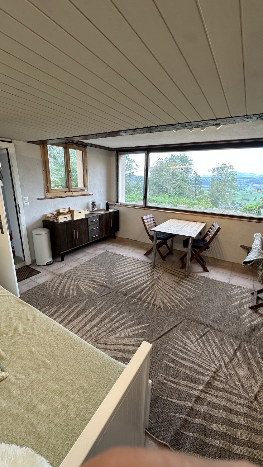 1 room apartment
