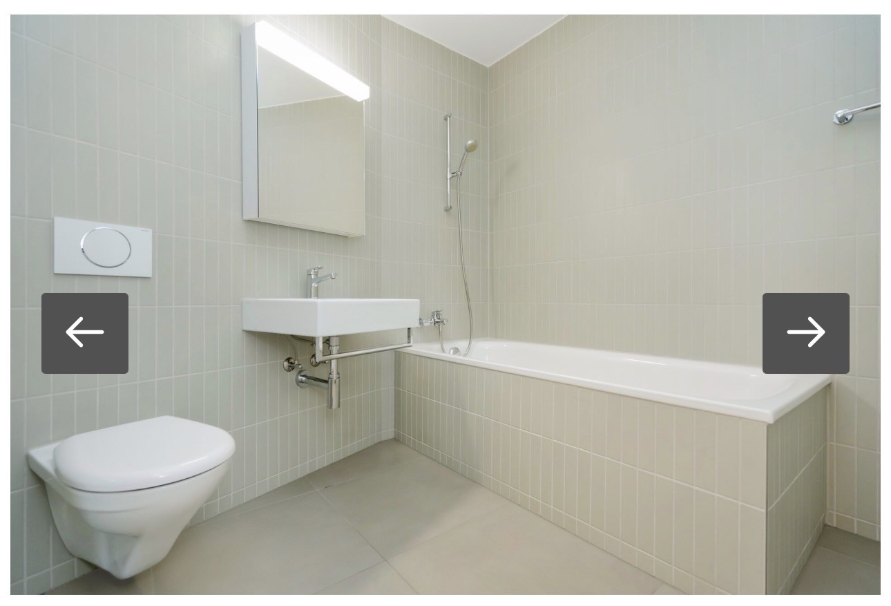 4 ½ rooms apartment