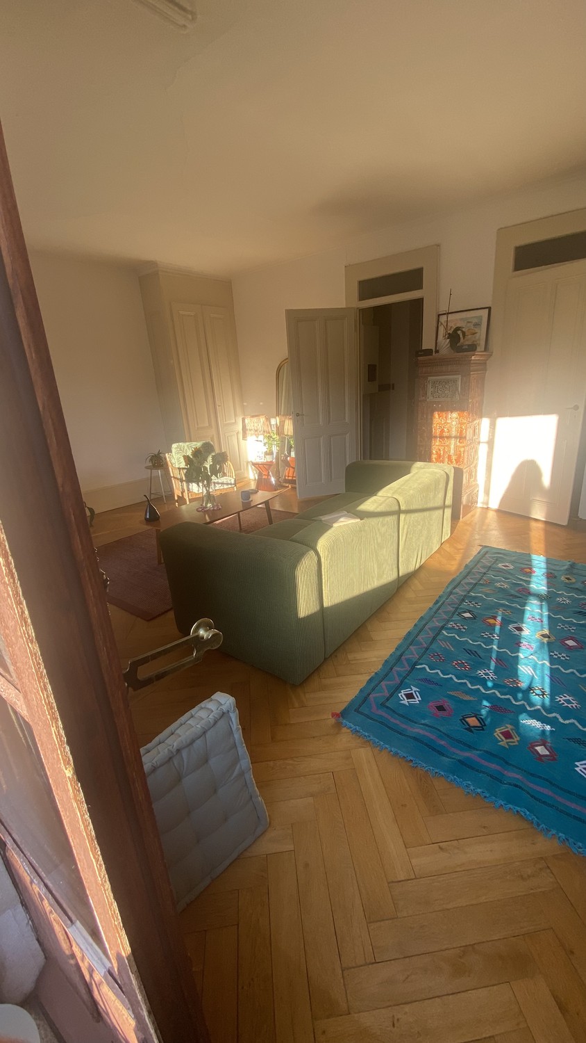 3 ½ Zimmer-Wohnung
