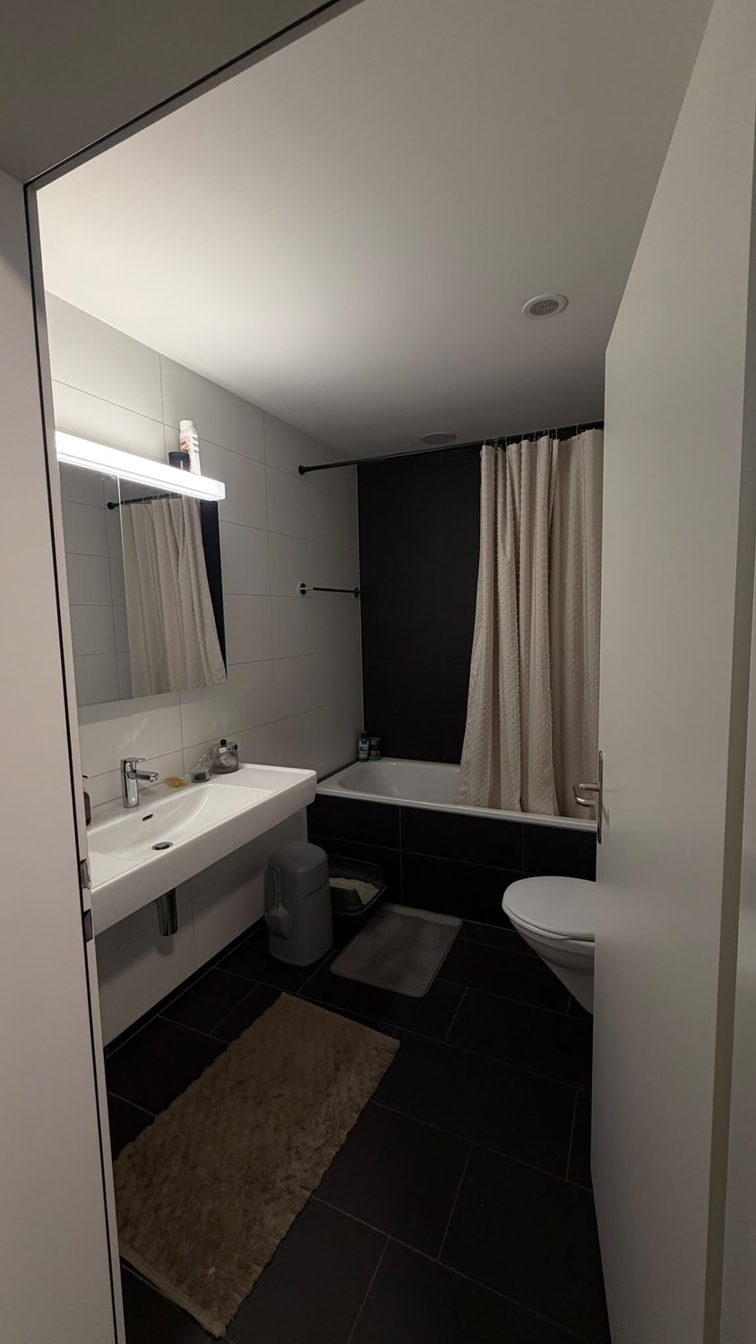 3 ½ rooms apartment, Foto 4 von 10