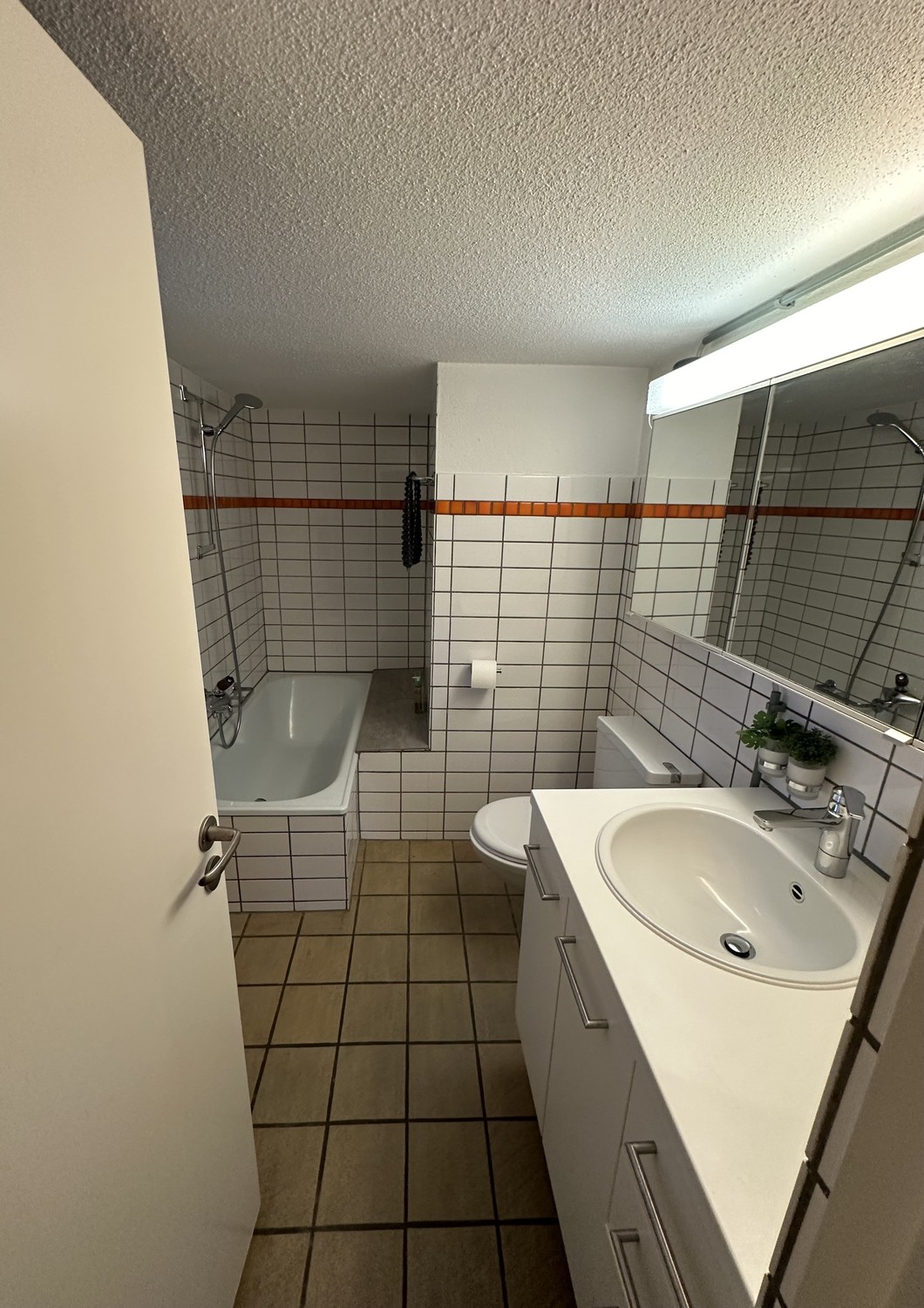 3 ½ Zimmer-Wohnung