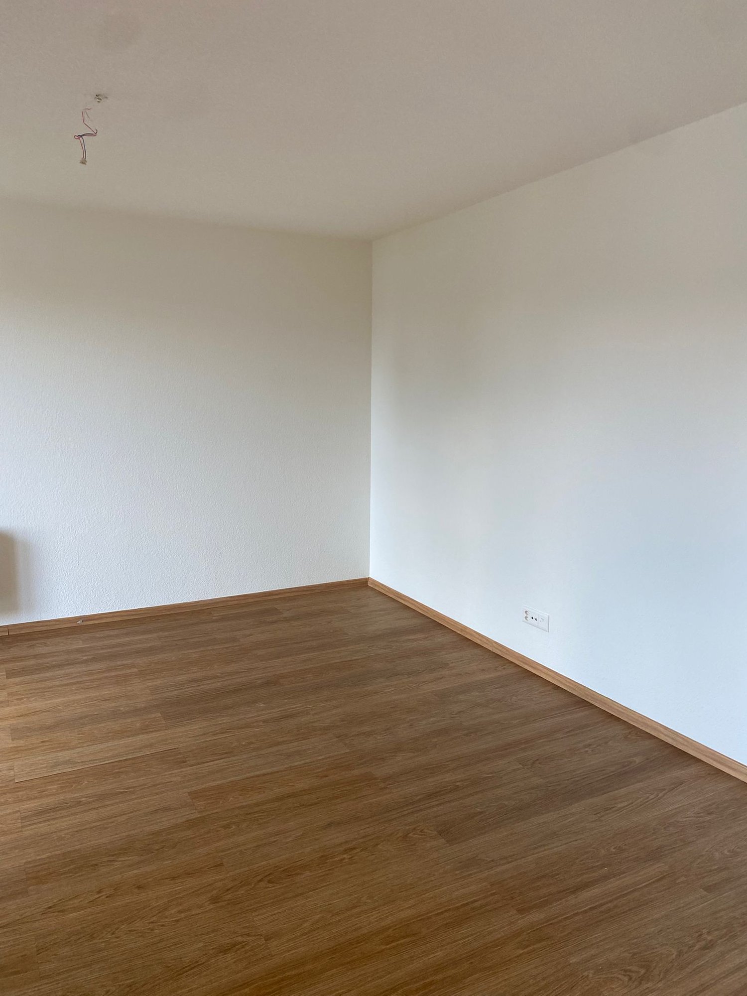 1 ½ rooms apartment, photo 10 sur 10